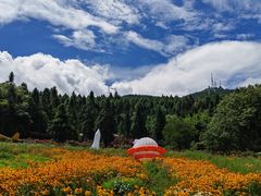 -武陵山森林公园