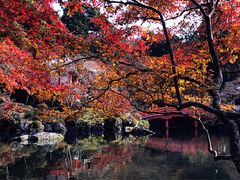 -醍醐寺