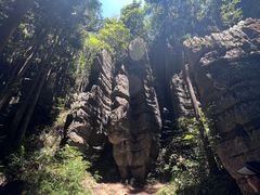 -梭布垭石林景区