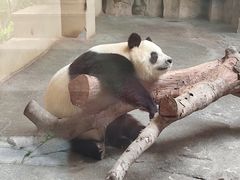 -宁波野生动物园
