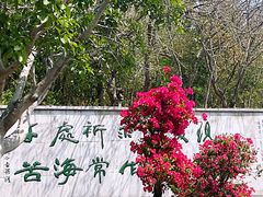 -三亚南山文化旅游区