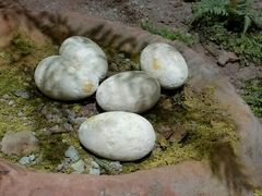 -湖南省地质博物馆