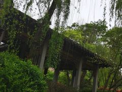 -重庆园博园