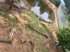 -西霞口神雕山野生动物世界