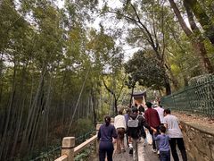 -灵岩山风景区
