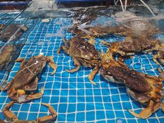 -三亚火车头万人海鲜广场