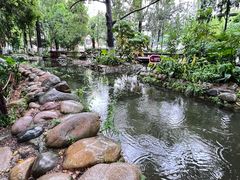 -成都市活水公园