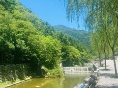 -牛背梁国家森林公园