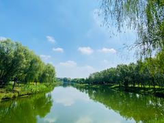 -东郊湿地公园