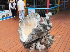 -蓝湾碧波·老字号·疍家非遗海上餐厅