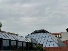-南越王博物院(王宫展区)
