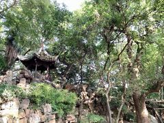 -绮园景区