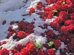 -洛阳白云山景区