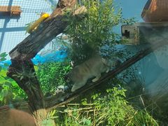 -青藏高原野生动物园