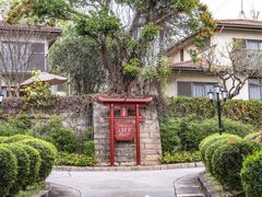 -厦门悦华酒店