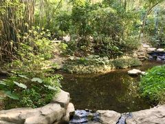 -大屏嶂森林公园