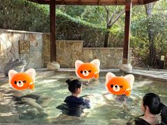 -天目湖涵田半山温泉