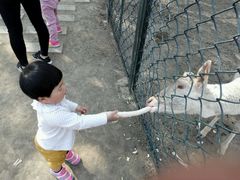 -北京麋鹿生态实验中心