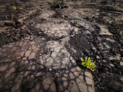 -夏威夷火山国家公园