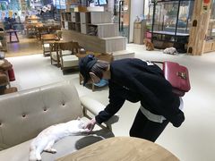 -藏猫猫咖啡主题馆(中央大道店)