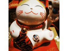 -猫咪博物馆(顶澳仔猫街店)