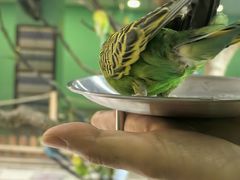 -上海大自然野生昆虫馆