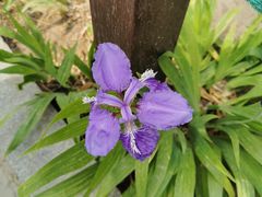 -交通银行(北京天坛支行)