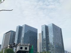 -合景·悠方(成都店)