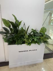 -卡兹摄影STUDIO婚纱摄影(文化路万达店)