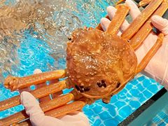 -东味北道熟成·炭火烤肉(九龙店)