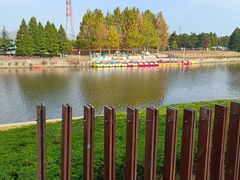 -羊亭河湿地公园