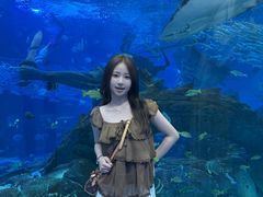 -哈尔滨波塞冬海底世界