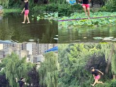 -海合安武汉极地海洋公园