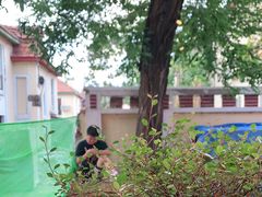 -长颈鹿咖啡(大学路店)