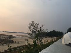 -宝安西湾红树林湿地公园