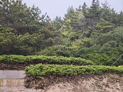 -朱家尖南沙景点