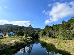 -海南热带雨林国家公园吊罗山景区