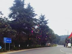 -铁山坪森林公园