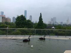 -行者书屋大堂吧 ·下午茶(南京圣和府邸酒店)