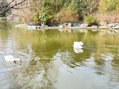 -扬州市茱萸湾风景区