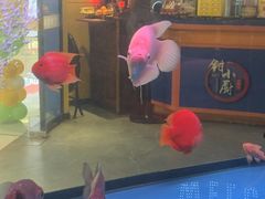 -钳小厨疯味1987肉蟹煲(美一城广场店)