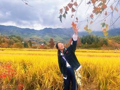 -塔川景区