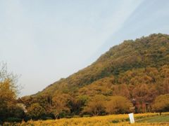 -八卦田遗址公园