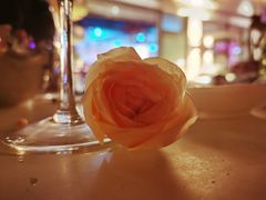 -杜尚rooftop露台酒吧