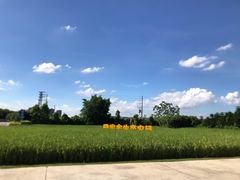 -迪茵湖田家舍生态农场