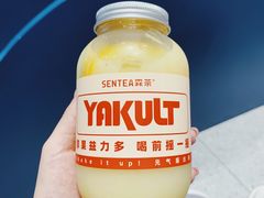 -森茶(湛江万达店)