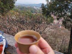 -香雪海