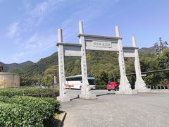 -龙坞茶村