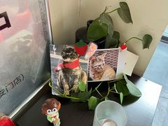 -EATALIA意塔利意式餐厅(鼓楼店)