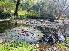 -华南国家植物园-售票处